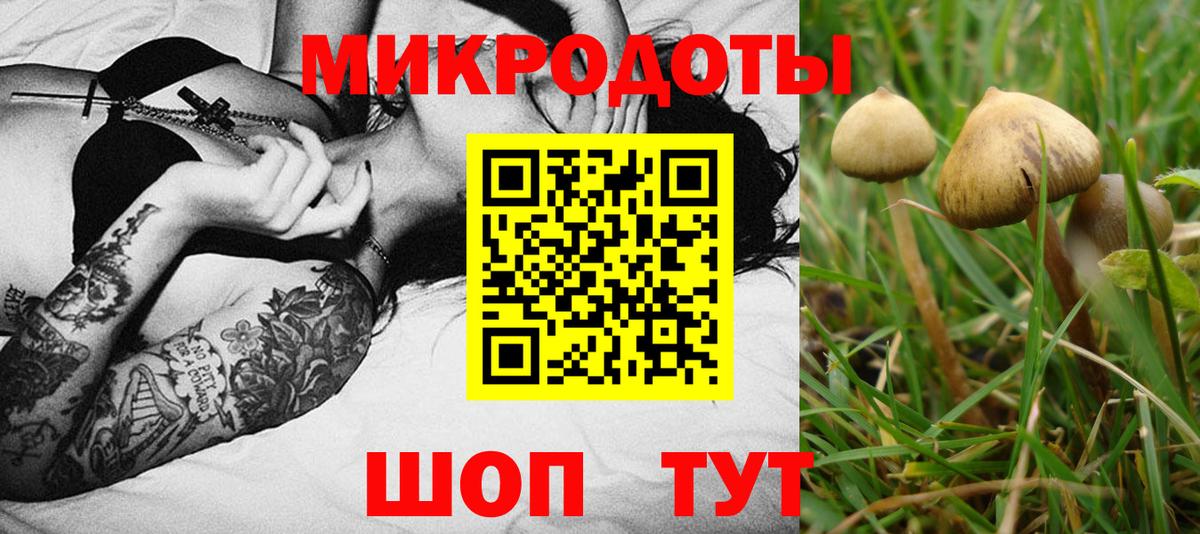Псилоцибиновые грибы Psilocybine cubensis  Вход с VPN  Галлюциногенные грибы Magic Shrooms  наркота  Ялуторовск 