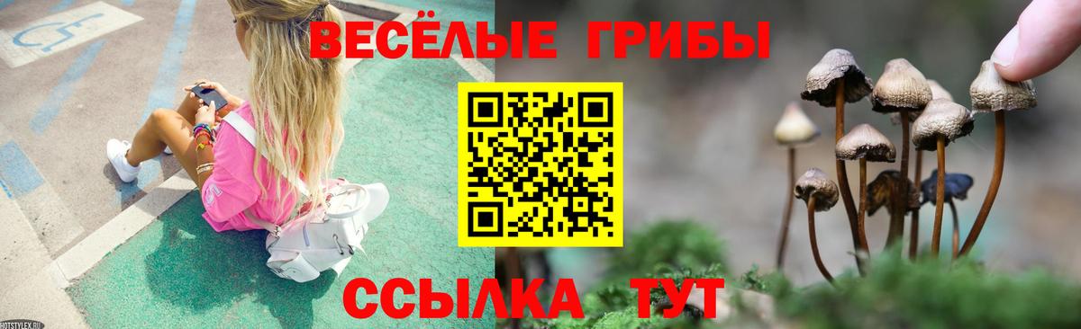 Галлюциногенные грибы GOLDEN TEACHER Ялуторовск